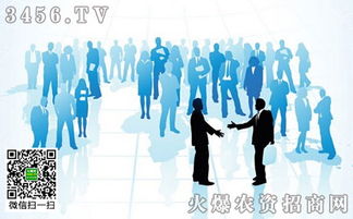 品牌整合營(yíng)銷策劃 你不能不知道的核心方法與實(shí)戰(zhàn)策略